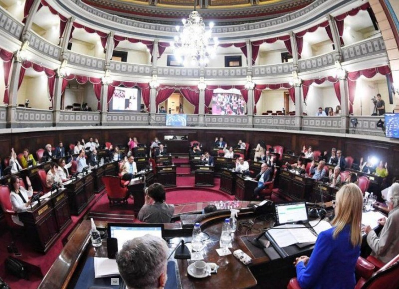El Senado aprob la suspensin de las PASO en Provincia